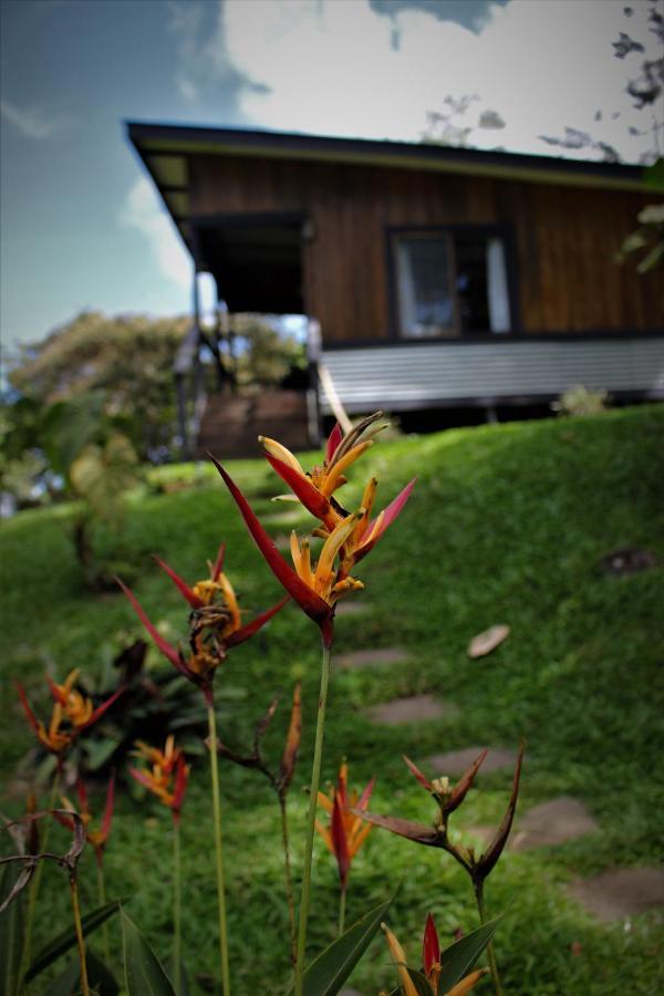 The Lodge At Reventazon River Mountain Ranch Turrialba Eksteriør billede